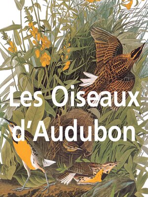 cover image of Les Oiseaux d'Audubon